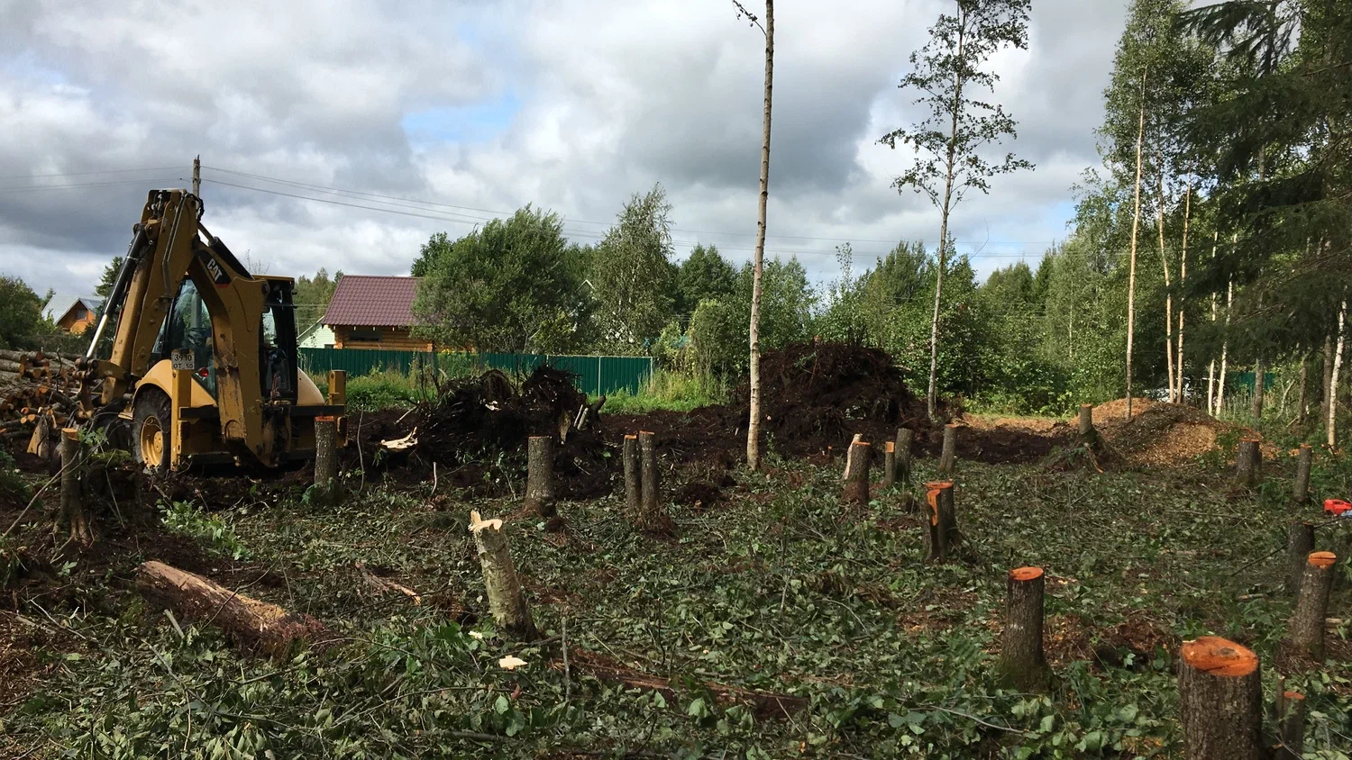 Спил деревьев на участке в городе Обнинск