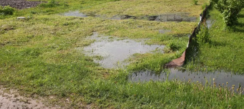Застой воды на участке с глинистой почвой