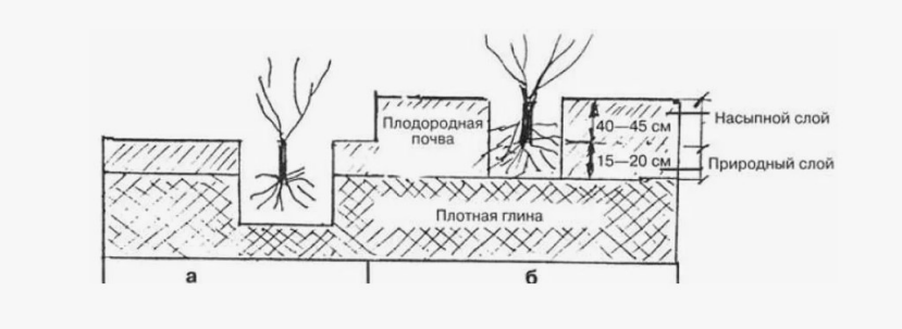 Как работает подсыпка грунта в местах посадок