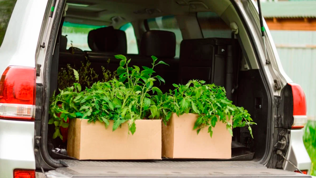 Транспортировка растений