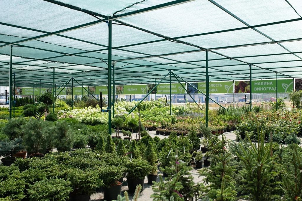 Садовый центр