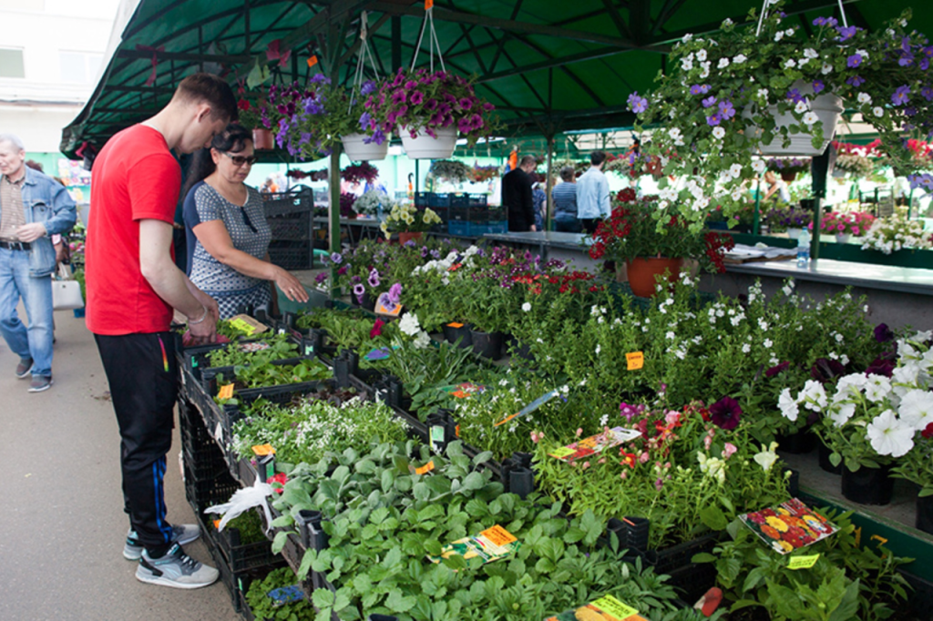 Садовый рынок